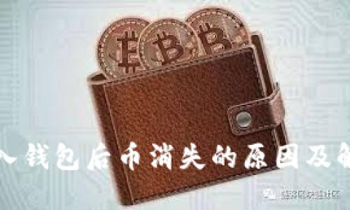 私钥导入钱包后币消失的原因及解决方案