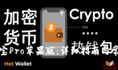 如何下载波宝Pro苹果版：