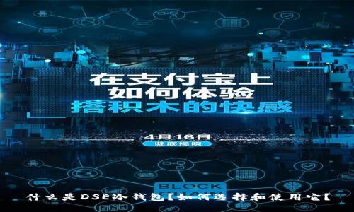 什么是DSE冷钱包？如何选择和使用它？