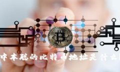 中本聪的比特币地址是什