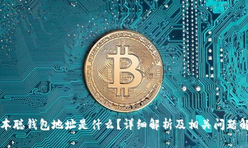 中本聪钱包地址是什么？详细解析及相关问题解答