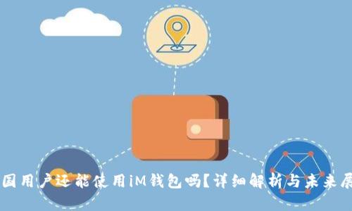 中国用户还能使用iM钱包吗？详细解析与未来展望