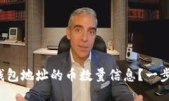 如何查询钱包地址的币数