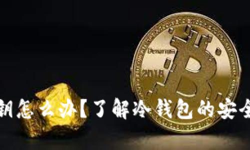 冷钱包没有私钥怎么办？了解冷钱包的安全性与私钥管理