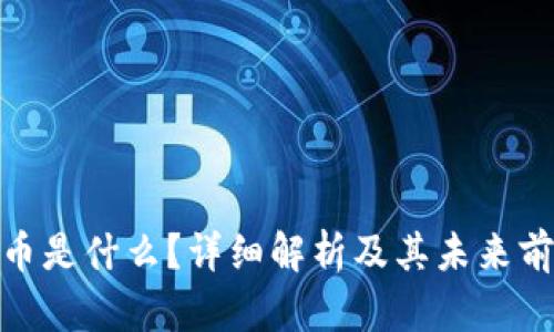 Pi币是什么？详细解析及其未来前景