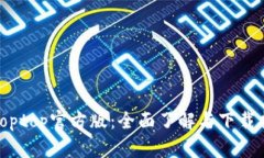 : toptop官方版：全面了解与