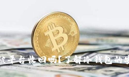 冷钱包被风控会被平台收回吗？了解冷钱包的安全性和风控机制
