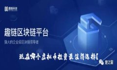 现在哪个虚拟币投资最值