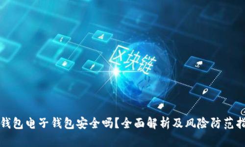 冷钱包电子钱包安全吗？全面解析及风险防范指南
