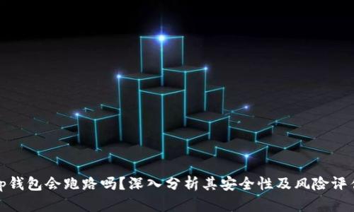 tp钱包会跑路吗？深入分析其安全性及风险评估