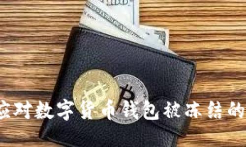 提议：
如何应对数字货币钱包被冻结的情况？