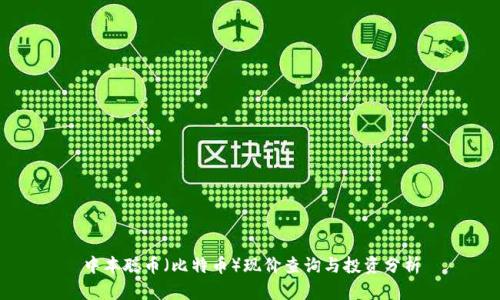 中本聪币（比特币）现价查询与投资分析
