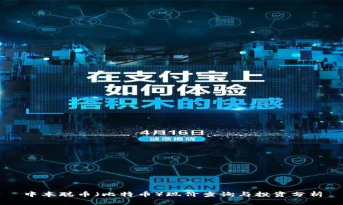 中本聪币（比特币）现价查询与投资分析