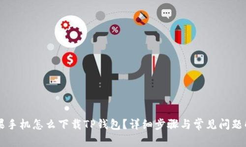 苹果手机怎么下载TP钱包？详细步骤与常见问题解析