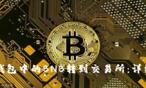 如何将TP钱包中的BNB转到交易所：详细步骤解析