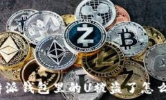  比特派钱包里的U被盗了怎