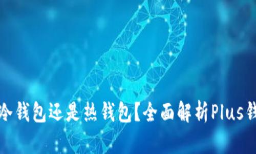 Plus钱包是冷钱包还是热钱包？全面解析Plus钱包的安全性