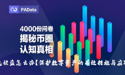冷钱包被盗怎么办？保护数字资产的有效措施与应对策略