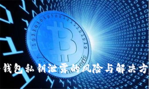 冷钱包私钥泄露的风险与解决方案