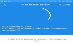 如何安全使用TP钱包官方网站 - 中国用户指南