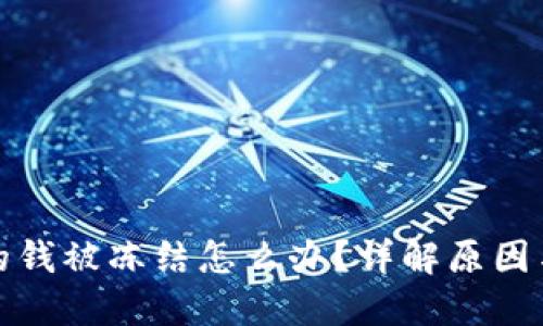 冷钱包里的钱被冻结怎么办？详解原因与解决方案