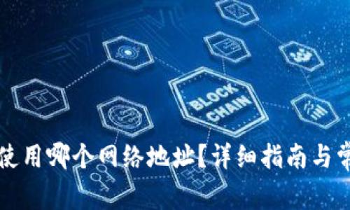 比特派钱包使用哪个网络地址？详细指南与常见问题解答