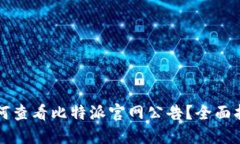 如何查看比特派官网公告