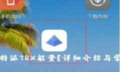 如何获得比特派TRX能量？