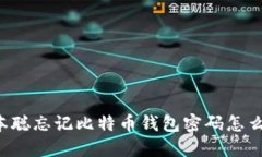 中本聪忘记比特币钱包密码怎么办？