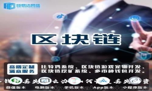 冷钱包丢失怎么办？如何恢复丢失的资产
