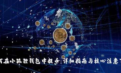 如何在小狐狸钱包中提币：详细指南与核心注意事项