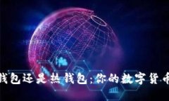 : 使用冷钱包还是热钱包：