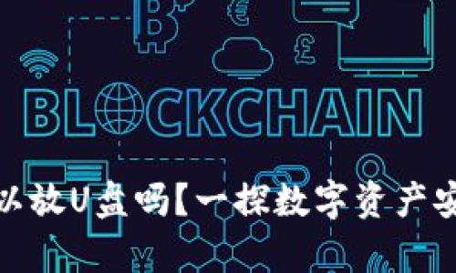 冷钱包可以放U盘吗？一探数字资产安全的奥秘