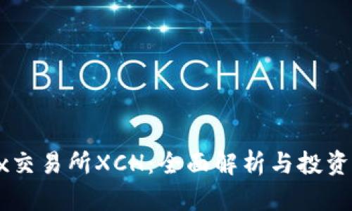 Okex交易所XCH：全面解析与投资指南