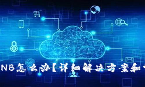 tp钱包没有BNB怎么办？详细解决方案和常见问题解析