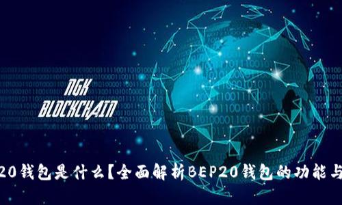 BEP20钱包是什么？全面解析BEP20钱包的功能与使用