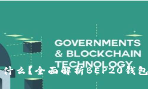 BEP20钱包是什么？全面解析BEP20钱包的功能与使用