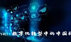 TP-China: 数字化转型中的中