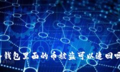 冷钱包里面的币被盗可以