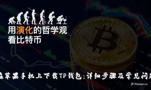 如何在苹果手机上下载TP钱包：详细步骤及常见问题解答