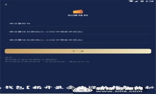 如何选择热钱包？揭开最受欢迎热钱包的秘密与优缺点