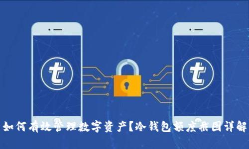 如何有效管理数字资产？冷钱包额度截图详解