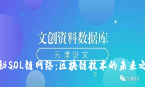 揭秘SOL链网络：区块链技术的未来之路