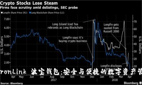 探索 TronLink 波宝钱包：安全与便捷的数字资产管理助手