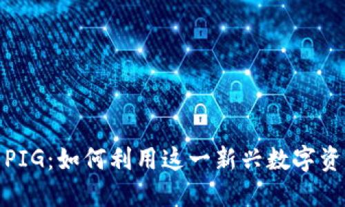 探索TP钱包中的PIG：如何利用这一新兴数字资产实现投资增值