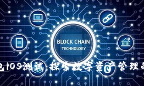 揭秘TP钱包iOS测试：探索数字资产管理的奇妙之旅