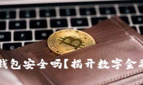 988pay虚拟钱包安全吗？揭开数字金融的神秘面纱！