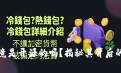 比特派钱包究竟是开源的吗？揭秘其背后的真相