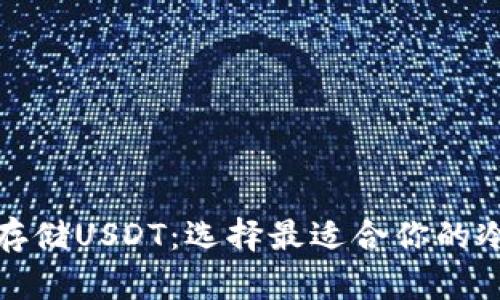 如何安全存储USDT：选择最适合你的冷钱包方案