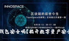 波宝Pro钱包安全吗？揭开